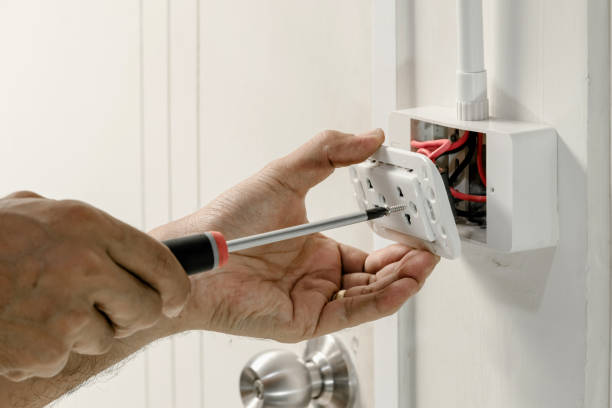 Best Electrical Panel Upgrades  in Bushland, TX